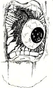 tarama 20260106